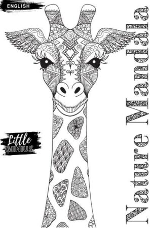 A beautiful nature-inspired mandala coloring book for young toddlers.